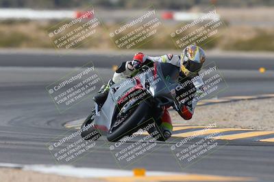 media/Jan-19-2024-Apex Assassins-CVMA Friday (Fri) [[74e94f2102]]/Trackday 1/Session 2 (Turn 11)/